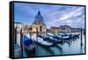 Italy, Veneto, Venice. Santa Maria Della Salute Church on the Grand Canal, at Sunset-Matteo Colombo-Framed Stretched Canvas