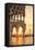 Italy, Veneto, Venice. Sunrise over Piazzetta San Marco and Doges Palace-Matteo Colombo-Framed Stretched Canvas