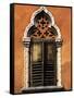 Italy, Veneto, Verona, Western Europe, a Tpical Pointed Window from the Veneto Region-Ken Scicluna-Framed Stretched Canvas