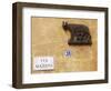 Italy, Veneto, Verona, Western Europe, the Symbol of Rome, on a Wall Named after Statesman Giuseppe-Ken Scicluna-Framed Photographic Print