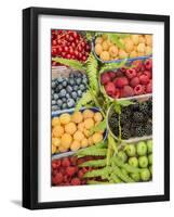 Italy, Venice. A variety of berries on display and for sale in the Rialto Market.-Julie Eggers-Framed Photographic Print