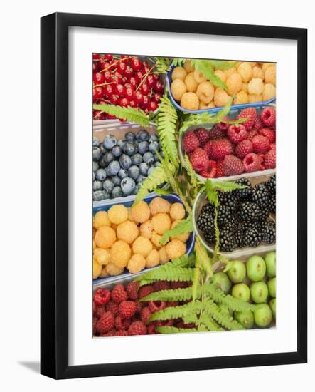 Italy, Venice. A variety of berries on display and for sale in the Rialto Market.-Julie Eggers-Framed Photographic Print