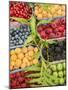 Italy, Venice. A variety of berries on display and for sale in the Rialto Market.-Julie Eggers-Mounted Photographic Print