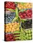 Italy, Venice. A variety of berries on display and for sale in the Rialto Market.-Julie Eggers-Stretched Canvas