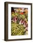 Italy, Venice. A variety of vegetables on display and for sale in the Rialto Market.-Julie Eggers-Framed Photographic Print