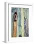 Italy, Venice, Burano Island. Patterns of peeling paint and padlock on old wooden doors.-Julie Eggers-Framed Photographic Print