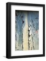 Italy, Venice, Burano Island. Patterns of peeling paint on old wooden doors.-Julie Eggers-Framed Photographic Print