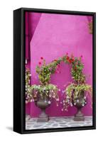 Italy, Venice, Burano Island. Urns planted with flowers against a bright pink wall on Burano Island-Julie Eggers-Framed Stretched Canvas