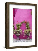 Italy, Venice, Burano Island. Urns planted with flowers against a bright pink wall on Burano Island-Julie Eggers-Framed Photographic Print