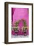 Italy, Venice, Burano Island. Urns planted with flowers against a bright pink wall on Burano Island-Julie Eggers-Framed Photographic Print