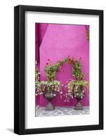 Italy, Venice, Burano Island. Urns planted with flowers against a bright pink wall on Burano Island-Julie Eggers-Framed Photographic Print