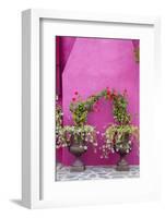 Italy, Venice, Burano Island. Urns planted with flowers against a bright pink wall on Burano Island-Julie Eggers-Framed Photographic Print