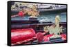 Italy, Venice. Detail of a very ornate gondola boat.-Julie Eggers-Framed Stretched Canvas