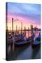 Italy, Venice. Gondolas Moored on Riva Degli Schiavoni at Sunrise-Matteo Colombo-Stretched Canvas