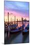 Italy, Venice. Gondolas Moored on Riva Degli Schiavoni at Sunrise-Matteo Colombo-Mounted Photographic Print