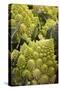 Italy, Venice. Green Romanesco cauliflower on display and for sale in the Rialto Market.-Julie Eggers-Stretched Canvas