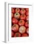 Italy, Venice. Tomatoes on display and for sale in the Rialto Market.-Julie Eggers-Framed Photographic Print