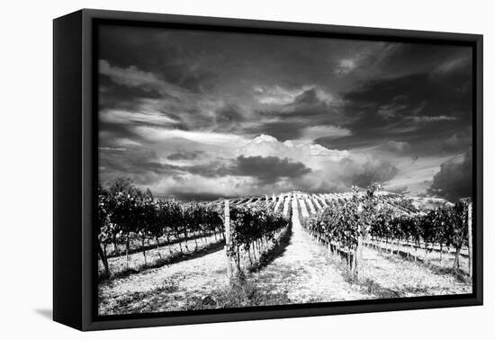 Italy-Maciej Duczynski-Framed Stretched Canvas