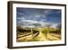 Italy-Maciej Duczynski-Framed Photographic Print