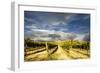 Italy-Maciej Duczynski-Framed Photographic Print