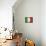 Italy-David Bowman-Mounted Giclee Print displayed on a wall