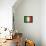 Italy-David Bowman-Framed Stretched Canvas displayed on a wall