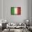 Italy-David Bowman-Giclee Print displayed on a wall