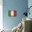 Italy-David Bowman-Premium Giclee Print displayed on a wall
