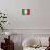 Italy-David Bowman-Mounted Giclee Print displayed on a wall