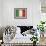 Italy-David Bowman-Framed Giclee Print displayed on a wall