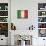 Italy-David Bowman-Stretched Canvas displayed on a wall