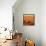Italy-Paul Powis-Framed Stretched Canvas displayed on a wall