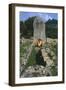 Italy-null-Framed Giclee Print