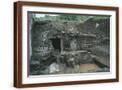 Brown Frame