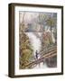 Itamaraty Waterfall in the Serra da Estrela-William Gore Ouseley-Framed Giclee Print