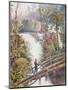 Itamaraty Waterfall in the Serra da Estrela-William Gore Ouseley-Mounted Giclee Print