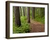 Itasca State Park, Minnesota, USA-Peter Hawkins-Framed Photographic Print