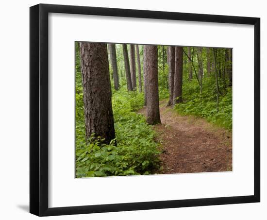 Itasca State Park, Minnesota, USA-Peter Hawkins-Framed Photographic Print