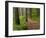 Itasca State Park, Minnesota, USA-Peter Hawkins-Framed Photographic Print