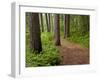 Itasca State Park, Minnesota, USA-Peter Hawkins-Framed Photographic Print