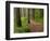 Itasca State Park, Minnesota, USA-Peter Hawkins-Framed Photographic Print