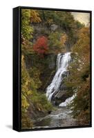 Ithaca Falls-Jessica Jenney-Framed Stretched Canvas