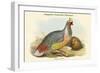 Ithaginis Cruentus - Sanguine Francolin Pheasant-John Gould-Framed Art Print