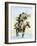 Itinerant Preacher Riding a Mule from Settlement to Settlement-null-Framed Giclee Print