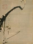 White Cockatoo on a Pine Branch-Ito Jakuchu-Mounted Giclee Print