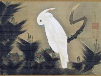 White Cockatoo on a Pine Branch-Ito Jakuchu-Mounted Giclee Print