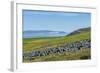 Ittygran Island, Chukotka, Russia, Eurasia-G and M Therin-Weise-Framed Photographic Print