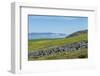 Ittygran Island, Chukotka, Russia, Eurasia-G and M Therin-Weise-Framed Photographic Print