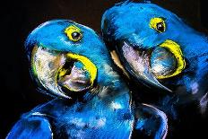 Pastel Painting of a Blue Parrots on a Cardboard. Modern Art-Ivailo Nikolov-Art Print
