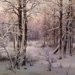 Hoarfrost-Ivan Avgustovich Velz-Laminated Giclee Print